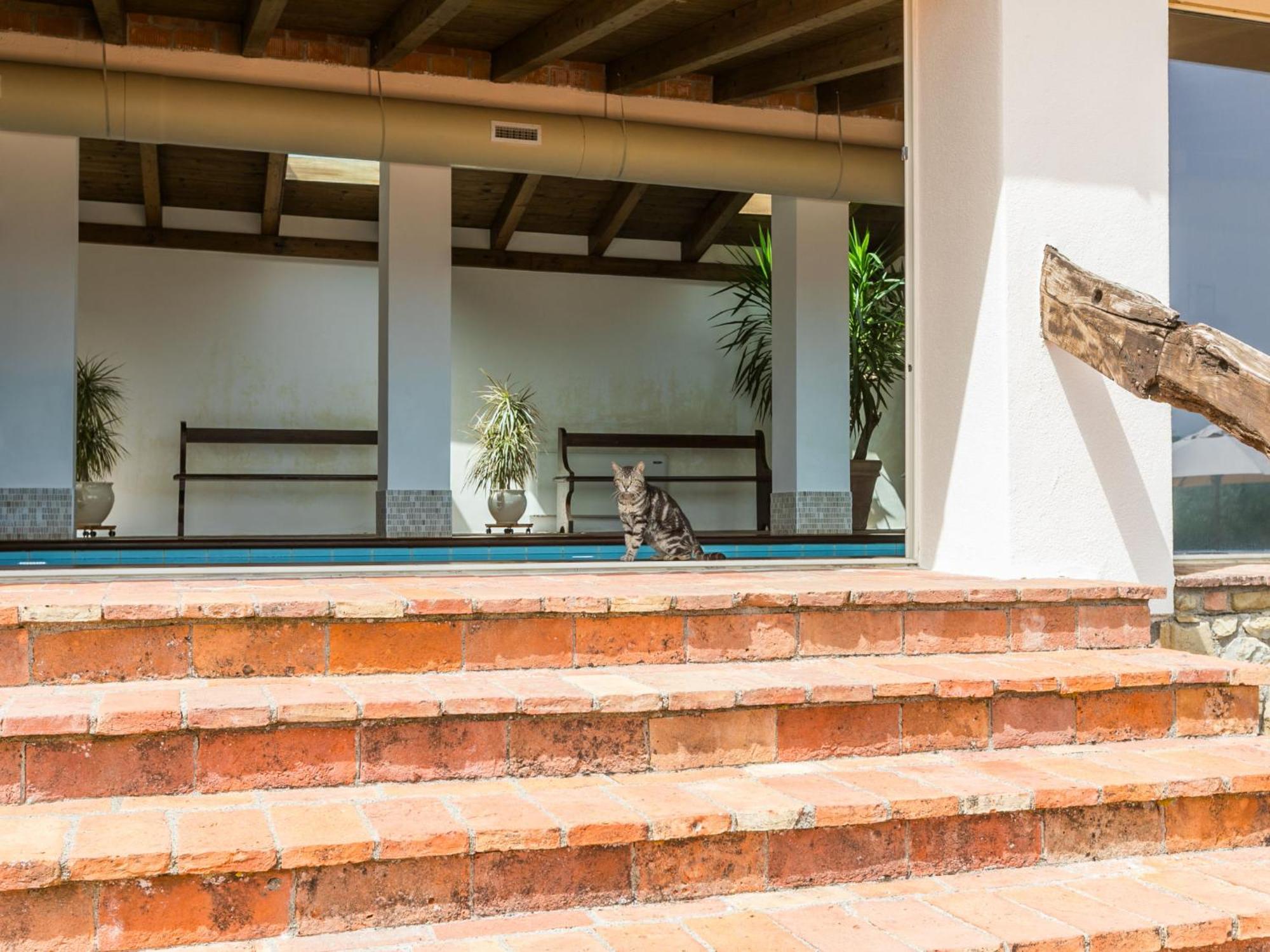 Apartment Santa Marta By Interhome Cinigiano Ngoại thất bức ảnh